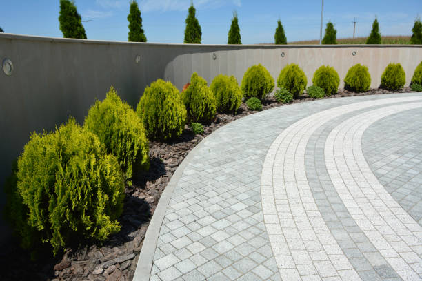 Best Brick Driveway Pavers  in Temelec, CA